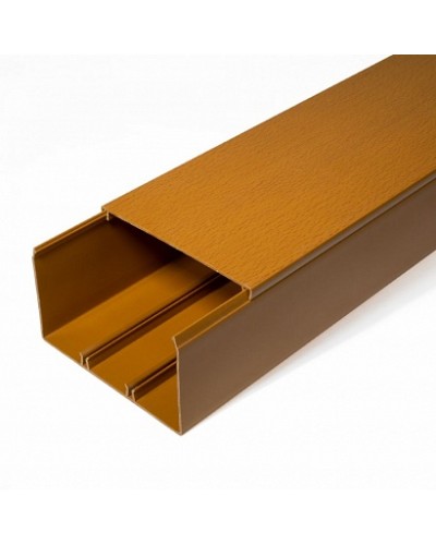 Кабель-канал бук 2-й замок 100х60 (16м/уп) Промрукав (PR.025447) в Санкт-Петербурге Огнестойкие кабельные линии Pintop.ru