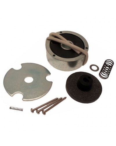 Электромагнит AMICO в сборе Came 119RID274 в Санкт-Петербурге Запчасти для шлагбаумов и автоматики Pintop.ru