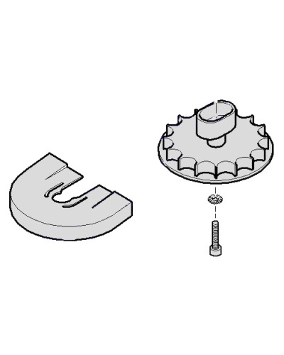 Шестеренка для C001 Came 119RICX004 в Санкт-Петербурге Запчасти для шлагбаумов и автоматики Pintop.ru