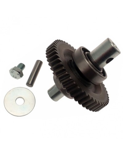 Шестерня редуктора FAST в сборе Came 119RID229 в Санкт-Петербурге Запчасти для шлагбаумов и автоматики Pintop.ru