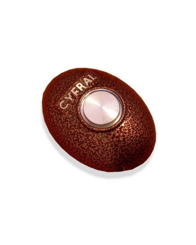 Кнопка открывания двери Цифрал КОДсП-4 в Санкт-Петербурге Многоабонентные устройства Pintop.ru