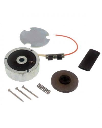 Электромагнит ATI 24 в сборе Came 119RID140 в Санкт-Петербурге Запчасти для шлагбаумов и автоматики Pintop.ru