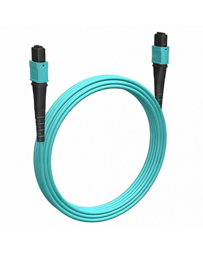 Кабельная сборка MPO(F) -MPO(F)-12 волокон 50/125 OM3, 2 m Cabeus (FOP-50-OM3-12-MPO(F)-12-MPO(F)-B-2m) в Санкт-Петербурге Кабельные сборки (оптические) Pintop.ru