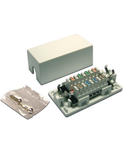 Модуль соединительный неэкранированный LANMASTER LAN-CNB-UTP5E в Санкт-Петербурге Проходные адаптеры Pintop.ru