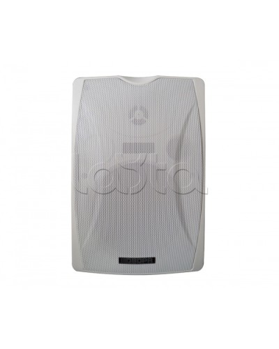 IP-громкоговоритель DSPPA POE-6463W в Санкт-Петербурге Система оповещения и трансляции Dsppa Pintop.ru