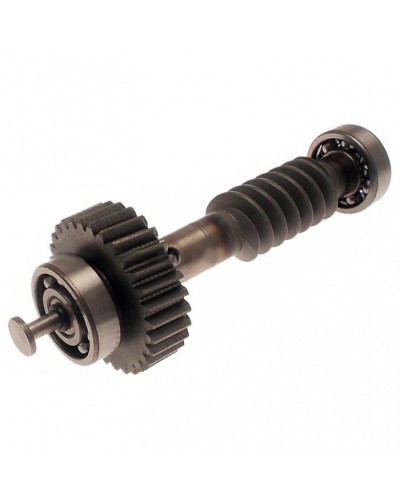 Червяк редуктора FAST в сборе Came 119RID228 в Санкт-Петербурге Запчасти для шлагбаумов и автоматики Pintop.ru