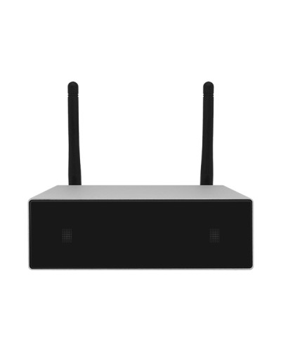 Усилитель потоковой передачи WIFI DSPPA DW-0250 в Санкт-Петербурге Система оповещения и трансляции Dsppa Pintop.ru