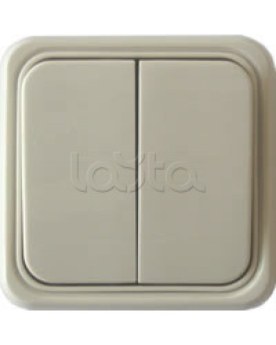 Выключатель двухклавишный открытой установки Экопласт, схема 5, (бежевый) в Санкт-Петербурге Розетки компьютерные и телефонные Pintop.ru