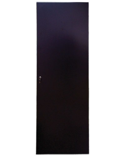 Дверь задняя для шкафов серии Business металл, 42U, ширина 600 мм TWT TWT-CBB-DRM1-42U-6 в Санкт-Петербурге Аксессуары для стоек и шкафов Pintop.ru