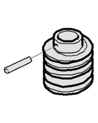 Червяк G3000 Came 119RIG413 в Санкт-Петербурге Запчасти для шлагбаумов и автоматики Pintop.ru