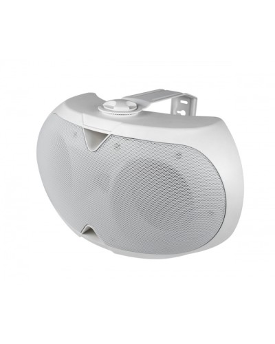 Громкоговоритель настенный 2-х полосный VOLTA ELLIPSE-2440TW в Санкт-Петербурге Система оповещения и трансляции Volta Pintop.ru