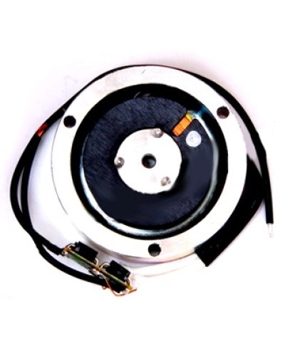 Электромагнит BY1500T Came 119RIY034 в Санкт-Петербурге Запчасти для шлагбаумов и автоматики Pintop.ru