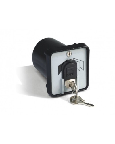 Ключ-выключатель с защитой цилиндра, встраиваемый Came 001SET-K в Санкт-Петербурге Запчасти для шлагбаумов и автоматики Pintop.ru