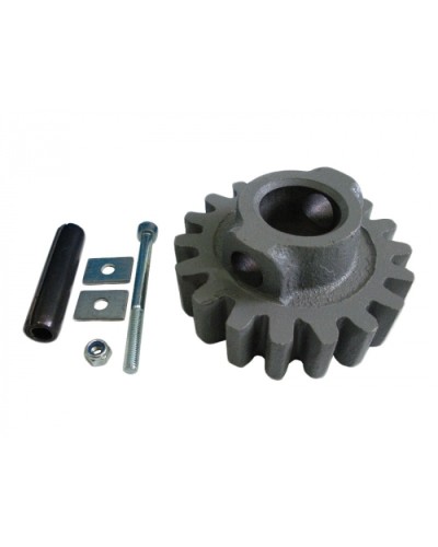 Шестерня ведущая ВК Came 119RIBK002 в Санкт-Петербурге Запчасти для шлагбаумов и автоматики Pintop.ru