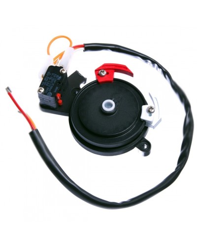 Концевые микровыключатели в сборе BX-243 Came 119RIBX041 в Санкт-Петербурге Запчасти для шлагбаумов и автоматики Pintop.ru