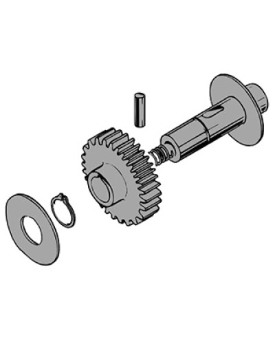 Вал в сборе C100 Came 119RIC011 в Санкт-Петербурге Запчасти для шлагбаумов и автоматики Pintop.ru