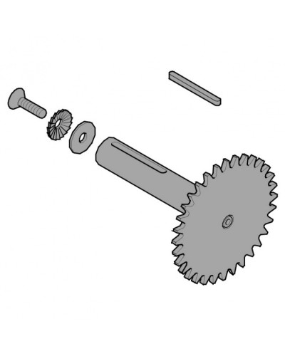 Звездочка C003 C004 C005 Came 119RICX013 в Санкт-Петербурге Запчасти для шлагбаумов и автоматики Pintop.ru