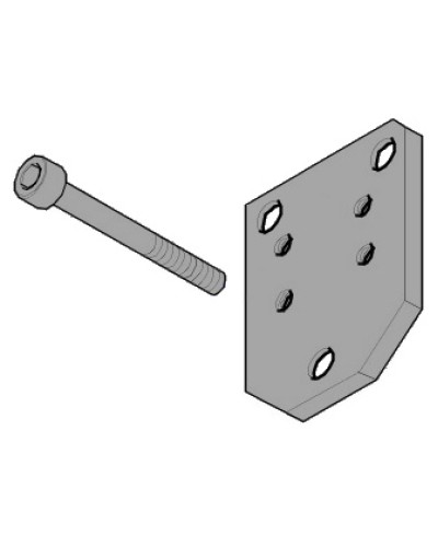 Пластина монтажная FLEX Came 119RID143 в Санкт-Петербурге Запчасти для шлагбаумов и автоматики Pintop.ru