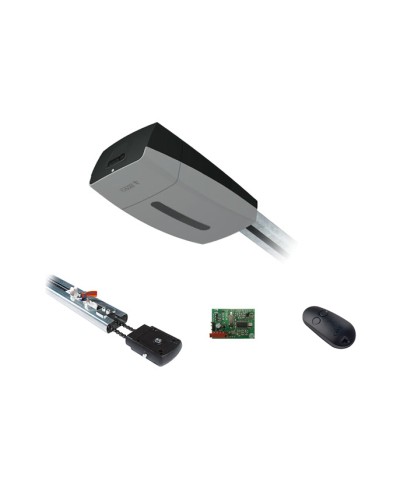 Came V10DMS3.25 KIT (до 3,25 м до 18 м2) - Комплект автоматики для секционных ворот высотой до 2,7 м на основе привода VER10DMS в Санкт-Петербурге Автоматизация ворот Pintop.ru