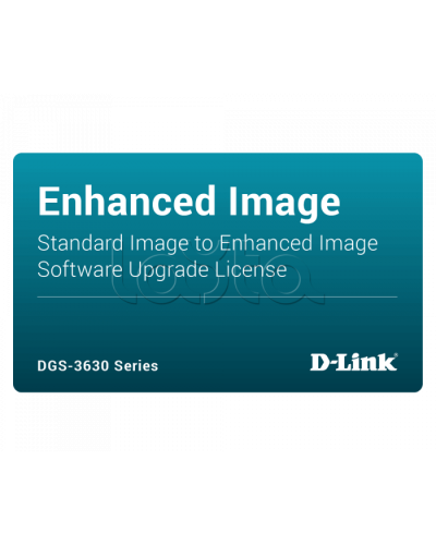 ПО D-Link DGS-3630-28PC-SE-LIC в Санкт-Петербурге Беспроводное оборудование Pintop.ru