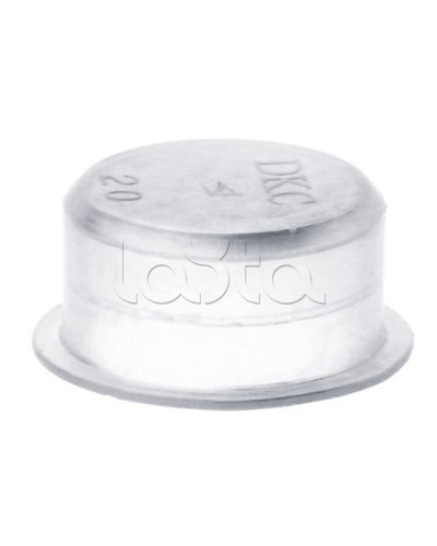 Заглушка для труб, IP40, д.25 мм DKC 50925 в Санкт-Петербурге Повороты, муфты, тройники Pintop.ru