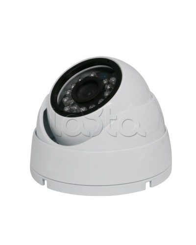 Камера видеонаблюдения купольная EverFocus ACE-IAB20XHD в Санкт-Петербурге Аналоговые камеры Pintop.ru