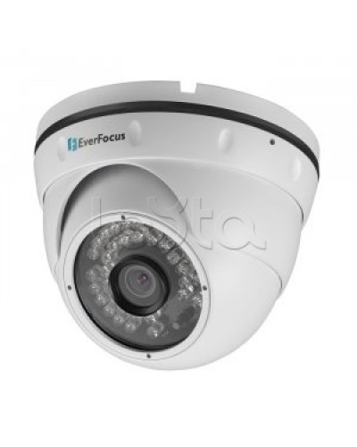 IP-камера видеонаблюдения купольная EverFocus ACE-IAV30 в Санкт-Петербурге IP-камеры Pintop.ru