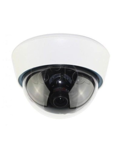 IP-камера видеонаблюдения купольная EverFocus ACE-IOV20A в Санкт-Петербурге IP-камеры Pintop.ru
