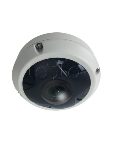 IP-камера видеонаблюдения купольная EverFocus ACE-KU89F в Санкт-Петербурге IP-камеры Pintop.ru