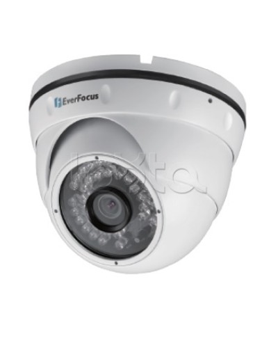 IP-камера видеонаблюдения уличная купольная EverFocus EBN-268 в Санкт-Петербурге IP-камеры Pintop.ru