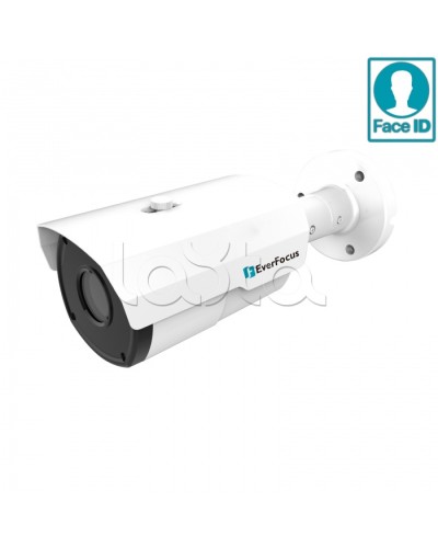 IP-камера видеонаблюдения в стандартном исполнении EverFocus EZN-2850 в Санкт-Петербурге IP-камеры Pintop.ru