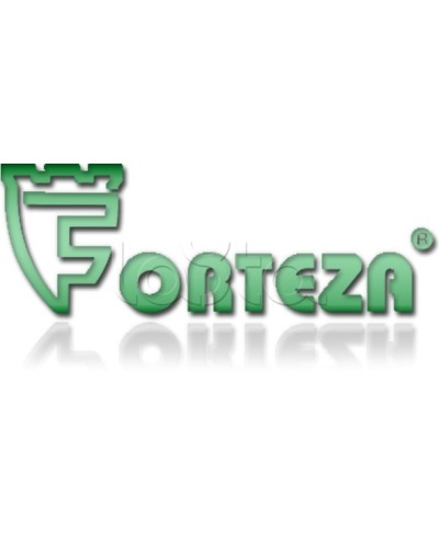 Плата сменная Forteza Плата БГр-4 в Санкт-Петербурге Устройства защиты операционных процессоров (ОПС) Pintop.ru