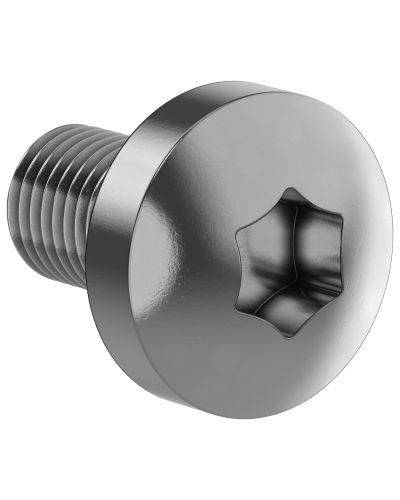 Винт М6х10 IEK (FO-00D-VTORX-M6X10-050) в Санкт-Петербурге Аксессуары для стоек и шкафов Pintop.ru