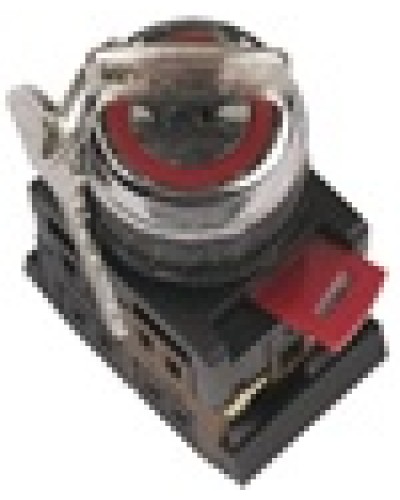 Переключатель AKS-22 с ключом на 2 фиксир.положения I-O 1з+1р черный IEK BSW10-AKS-2-K02 в Санкт-Петербурге Аксессуары для стоек и шкафов Pintop.ru