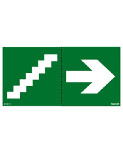 Пиктограмма 100х200 лестница стрелка Legrand 661672 в Санкт-Петербурге Дополнительное оборудование для ОПС Pintop.ru