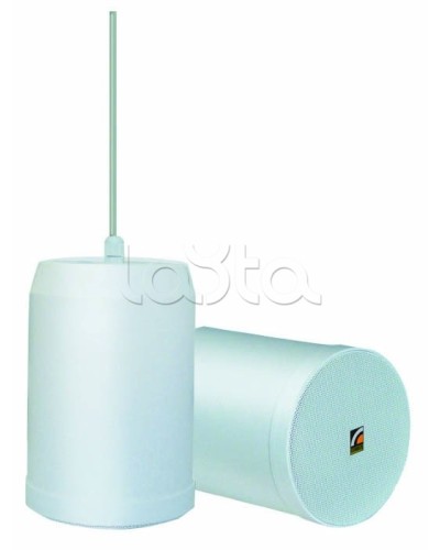 Громкоговоритель встраиваемый ROXTON SP-20T в Санкт-Петербурге Система оповещения и трансляции Roxton Pintop.ru