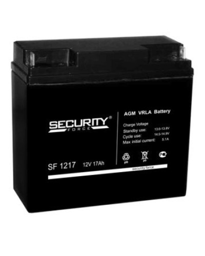 Аккумулятор свинцово-кислотный Security Force SF 1217 в Санкт-Петербурге Электротехническое оборудование Pintop.ru