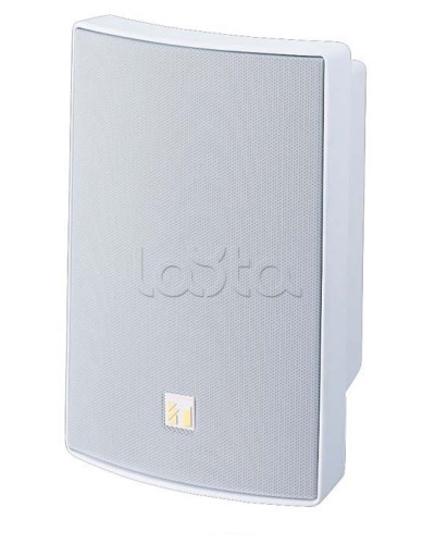 Громкоговоритель универсальный двухполосный TOA BS-1030W в Санкт-Петербурге Системы оповещения и трансляции TOA Pintop.ru