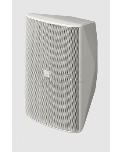 Громкоговоритель 2 полосный TOA F-1300WT в Санкт-Петербурге Системы оповещения и трансляции TOA Pintop.ru