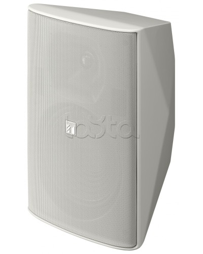 Громкоговоритель 2 полосный TOA F-2000 WT в Санкт-Петербурге Системы оповещения и трансляции TOA Pintop.ru