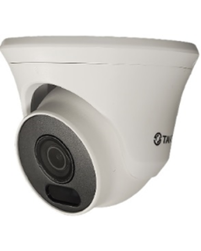 Уличная купольная IP видеокамера Tantos TSi-Beco55FP в Санкт-Петербурге IP-камеры Pintop.ru
