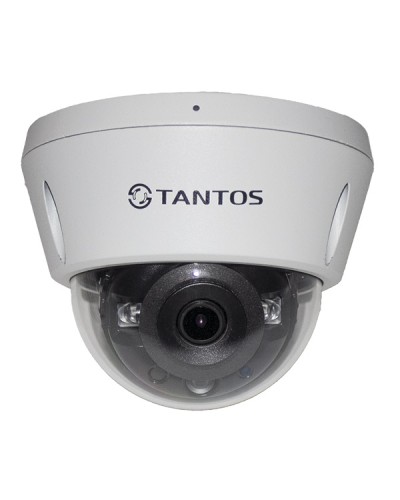 IP-видеокамера в купольном исполнении Tantos TSi-Vn253VZ в Санкт-Петербурге IP-камеры Pintop.ru