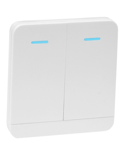 Передатчик клавишный на 2 канала Tantos TSt-100HK в Санкт-Петербурге Устройства радиоуправления для шлагбаумов и автоматики Pintop.ru