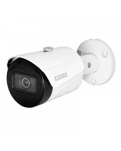 IP-камера видеонаблюдения в стандартном исполнении Болид VCI-122 в Санкт-Петербурге IP-камеры Pintop.ru