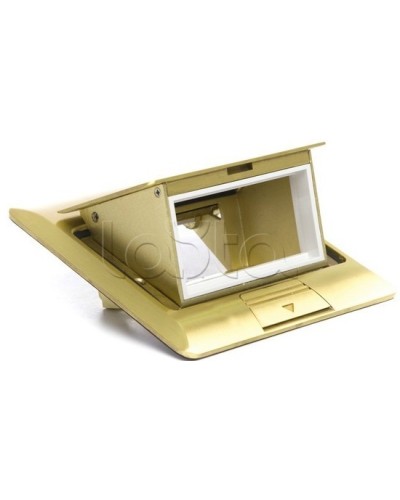 Люк в пол на 2 модуля (45х45мм), латунь Экопласт 70020 в Санкт-Петербурге Системы лючков и колонн Pintop.ru