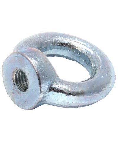Рым-гайка М10 DIN 582 (50 шт/уп) Промрукав (PR08.3905) в Санкт-Петербурге Крепеж Pintop.ru