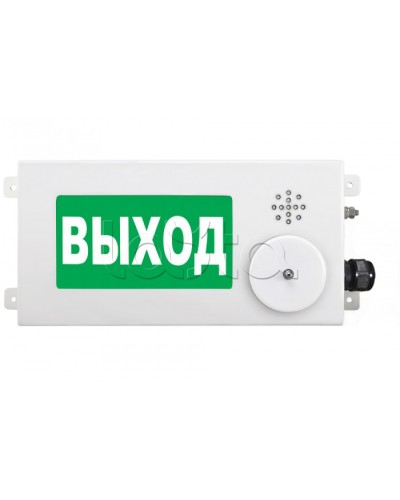 Табло световое взрывозащищенное Спектрон ТСВ-Exm-М-Прометей-МИНИ 220В в Санкт-Петербурге Оповещатели Ex Pintop.ru