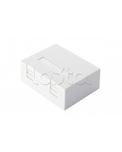 Настенная коробка 2-портовая со шторками, белый Eurolan (12B-04-02WT-2) в Санкт-Петербурге Розетки компьютерные и телефонные Pintop.ru