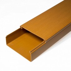 Кабель-канал бук 2-й замок в п/э 100х40 (8 м/уп) Промрукав (PR03.0206)