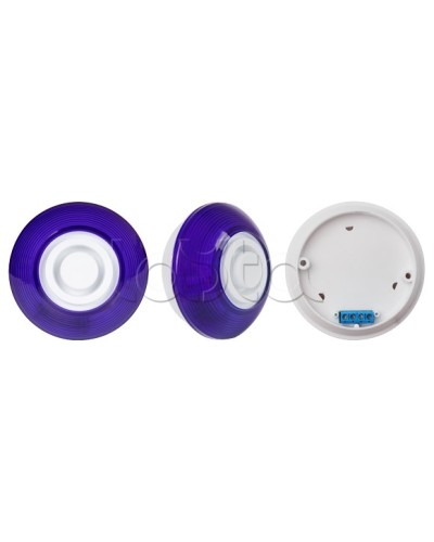 Оповещатель комбинированный SLT Марс 12-КП (строб, син) в Санкт-Петербурге Оповещатели Pintop.ru